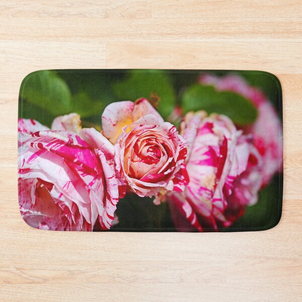 Item preview, Three Pink Variegated Roses designed and sold by Joy Watson - Natural Light Photography .