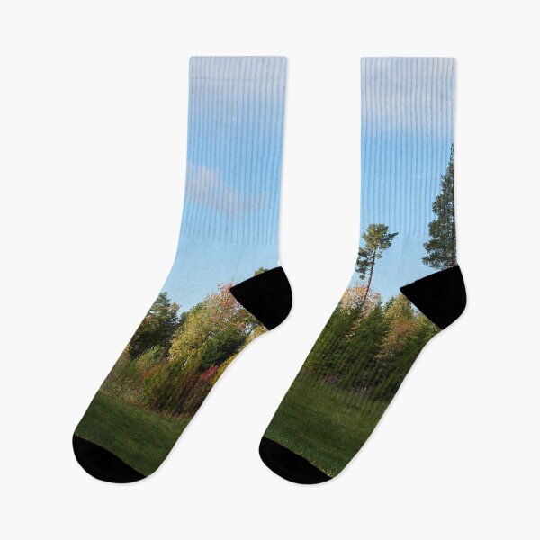 Item preview, Hillside trees.. Parkkuu 2024 designed and sold by Jouko Lehto Photography.