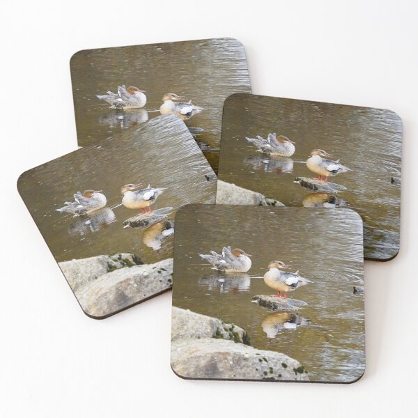 Item preview, Just having fun. Goosander designed and sold by Jouko Lehto Photography.