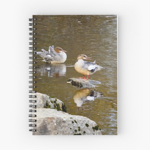 Item preview, Just having fun. Goosander designed and sold by Jouko Lehto Photography.