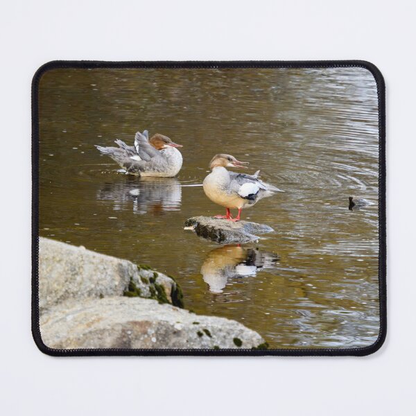 Item preview, Just having fun. Goosander designed and sold by Jouko Lehto Photography.