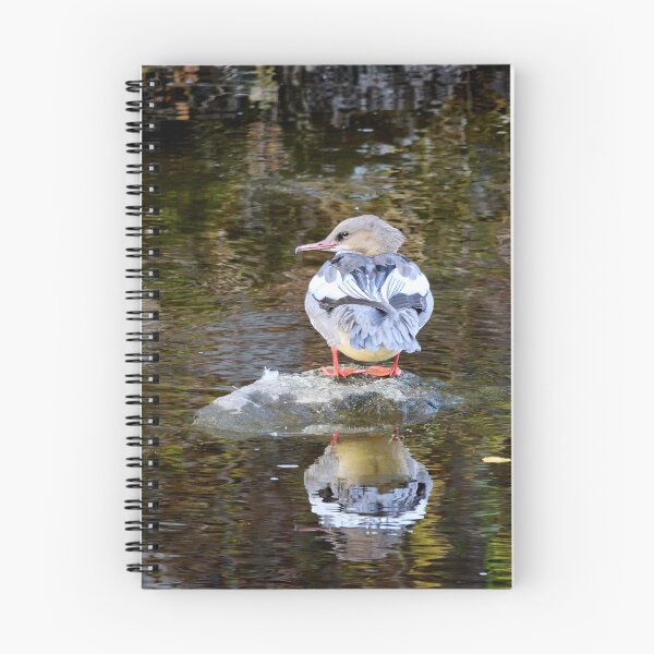 Item preview, My place. Goosander designed and sold by Jouko Lehto Photography.