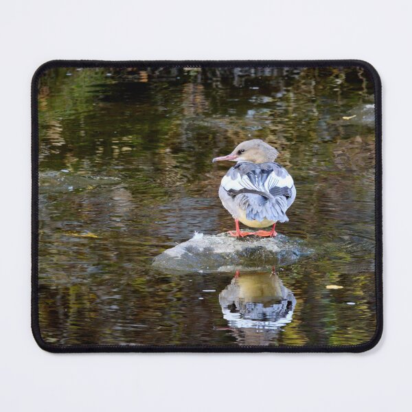 Item preview, My place. Goosander designed and sold by Jouko Lehto Photography.