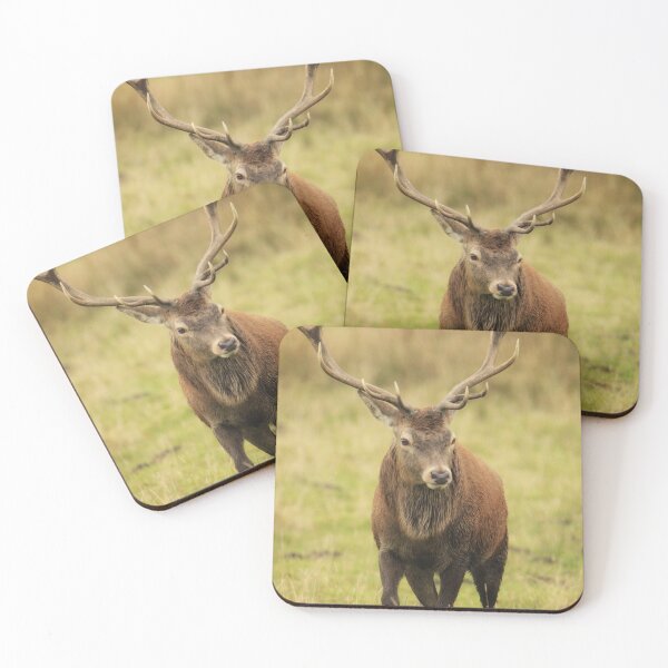 Item preview, Red deer designed and sold by Kerrie-Ann Ellison.