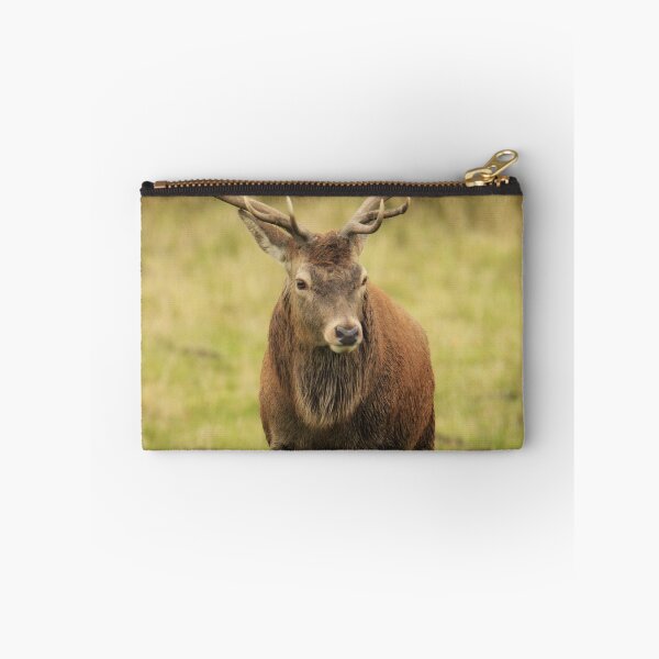Item preview, Red deer designed and sold by Kerrie-Ann Ellison.