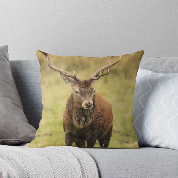 Item preview, Red deer designed and sold by Kerrie-Ann Ellison.