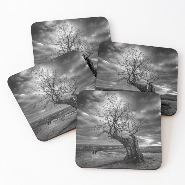 Item preview, Hill Top Tree designed and sold by Stephen Smith.