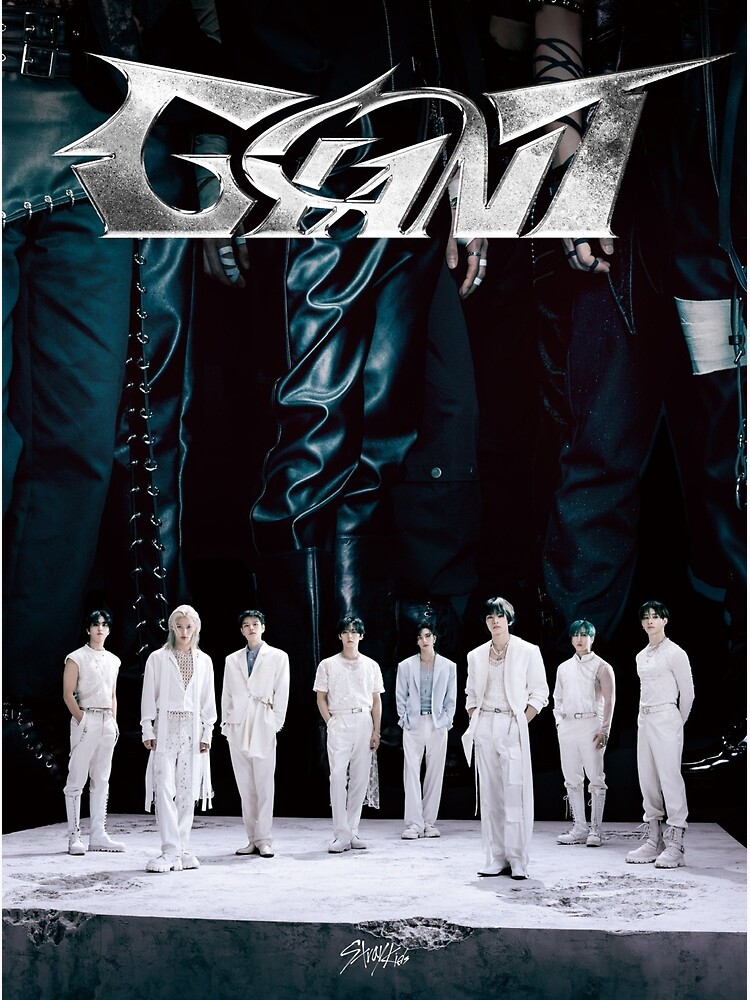 103ｃｍ×73ｃｍ 超特大B1 ポスター Stray Kids 2025 STRAY KIDS In FOCUS + 2 Posters 16 STUNNING PORTRAITS コレクション