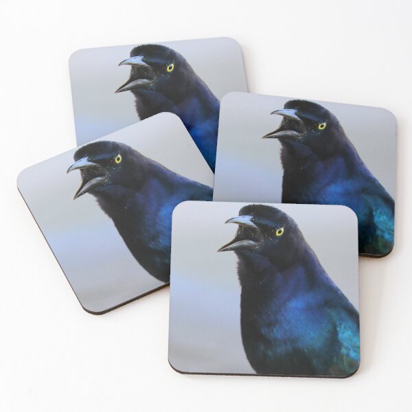 Item preview, Grackle  designed and sold by Parks and X.