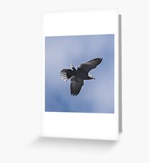 Dove Greeting Card