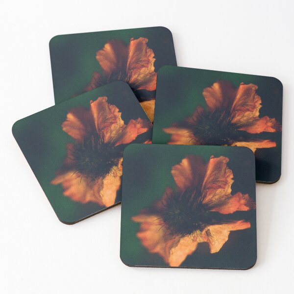Item preview, Flowerburst  designed and sold by Phil Bothwell Photography.