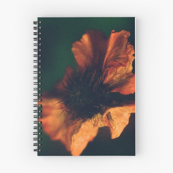 Artikelvorschau, Blumenexplosion entworfen und verkauft von Phil Bothwell Photography.