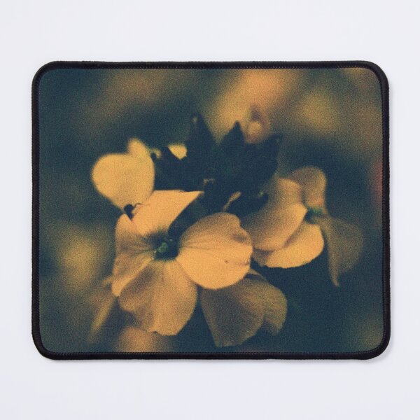 Item preview, Corona de oro designed and sold by Phil Bothwell Photography.