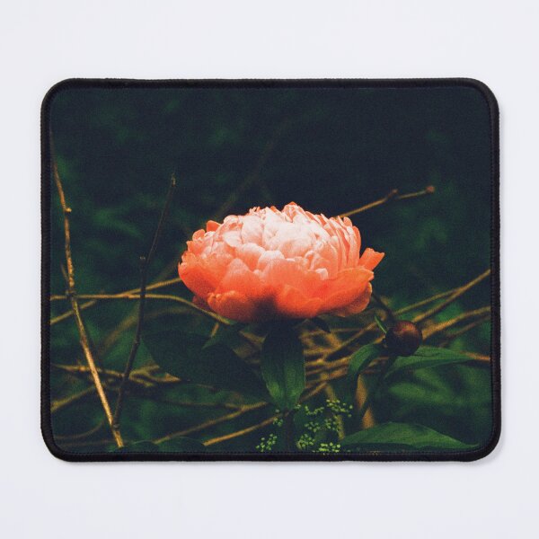 Item preview, Rosette designed and sold by Phil Bothwell Photography.
