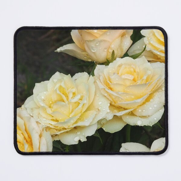 Item preview, Yellow roses with water drops designed and sold by Alelmisira.