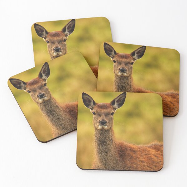 Item preview, Deer designed and sold by Kerrie-Ann Ellison.
