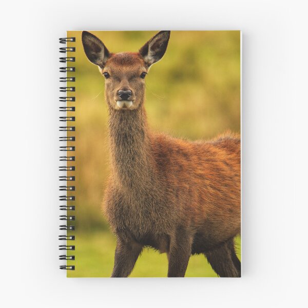 Item preview, Deer designed and sold by Kerrie-Ann Ellison.