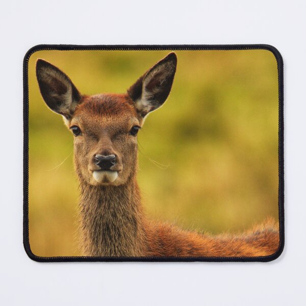 Item preview, Deer designed and sold by Kerrie-Ann Ellison.
