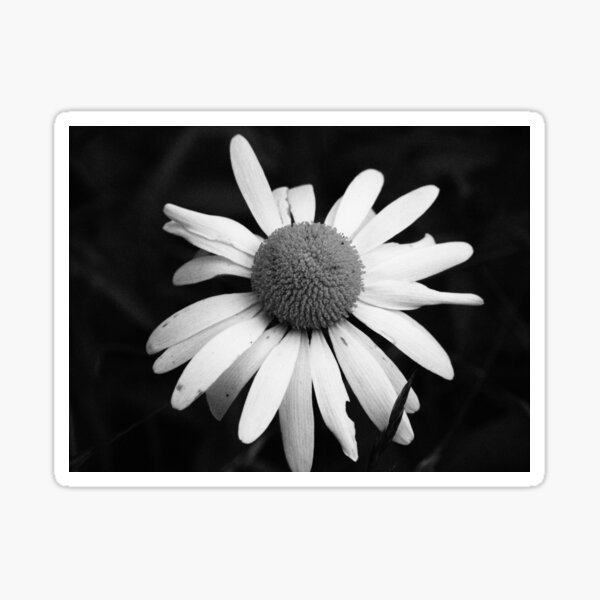 Miniature Sun Sticker