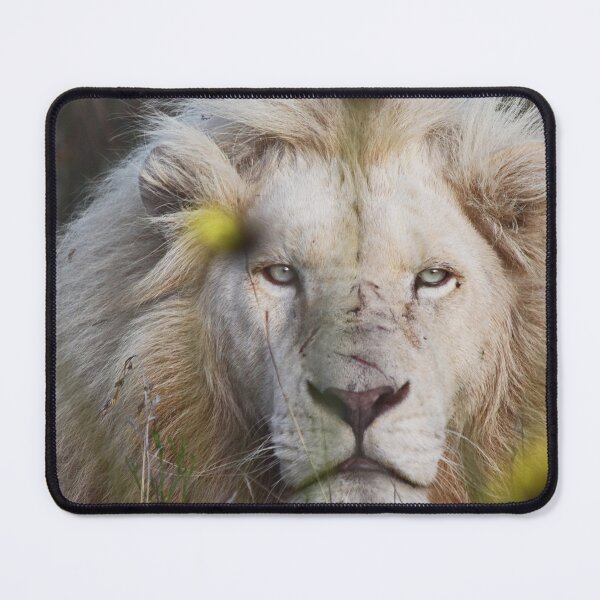 Item preview, White Lion with Blue Eyes designed and sold by ChalfontArt.