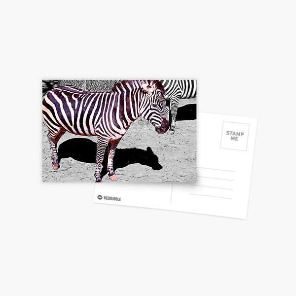 The dust in this zoo ruins my coat! Postcard