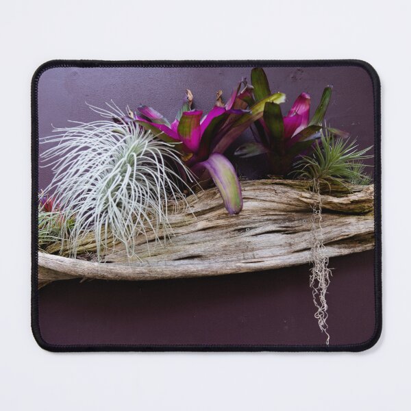 Item preview, Hanging Bouquet designed and sold by pvsnyder.