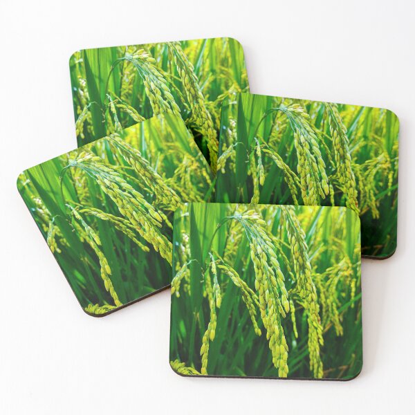 Item preview, growing young rice seed plants designed and sold by Royalsticker.