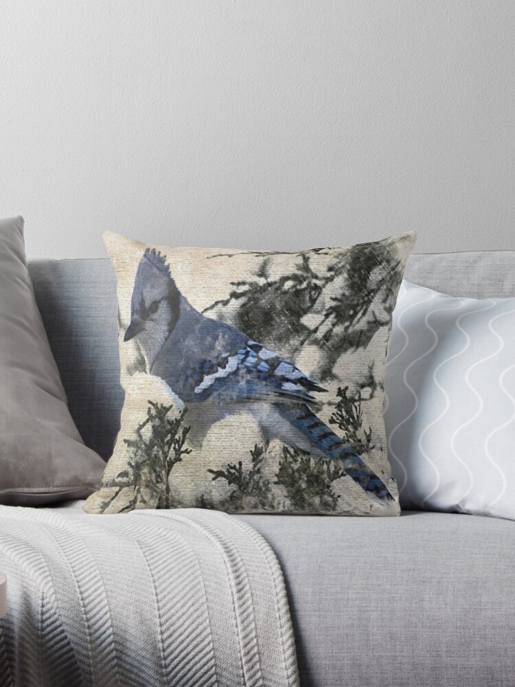 https://ih1.redbubble.net/image.568020305.7681/throwpillow,small,750x1000-bg,f8f8f8.u3.jpg