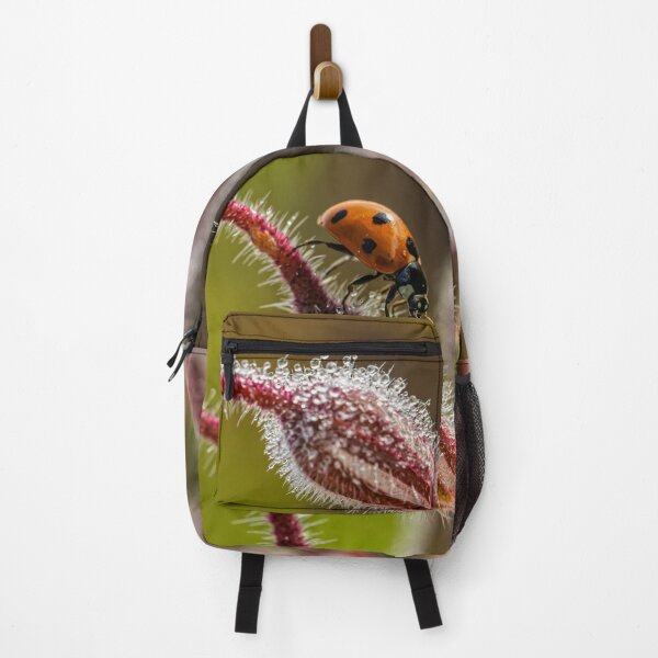 Item preview, Ladybug designed and sold by Veikko Suikkanen.