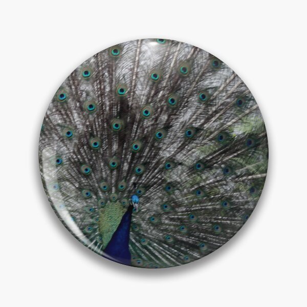 Item preview, Inquisitive peacock designed and sold by Lettie Cronje-Steyn.