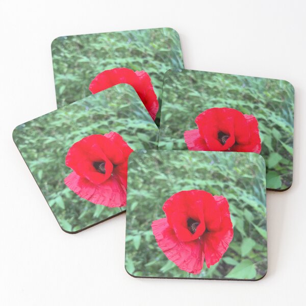 Artikelvorschau, Mohn auf dem Feld entworfen und verkauft von EmmaLilStudio.