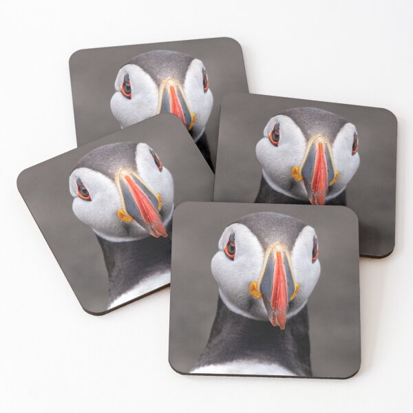 Item preview, Curious Puffin designed and sold by Julie Wilkinson.