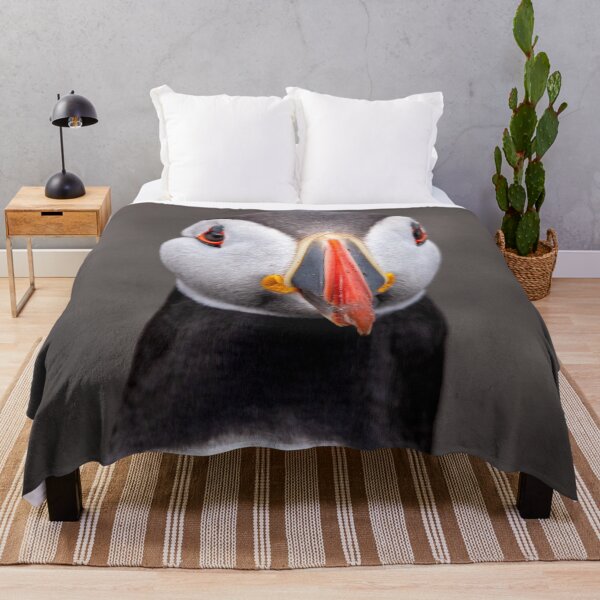 Item preview, Curious Puffin designed and sold by Julie Wilkinson.
