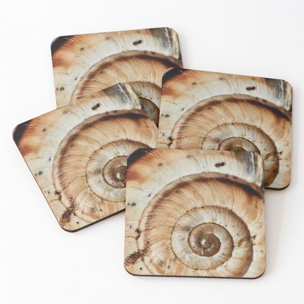 Item preview, Natural Spiral II designed and sold by Eidetic Photos.