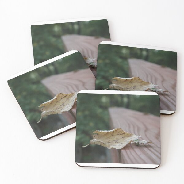 Item preview, Leaf designed and sold by Petthecatshop.