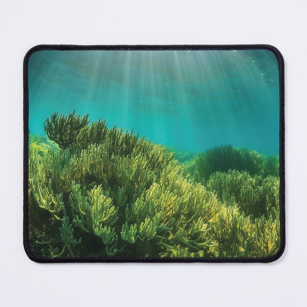 Item preview, natural sunlight underwater designed and sold by skalihm.