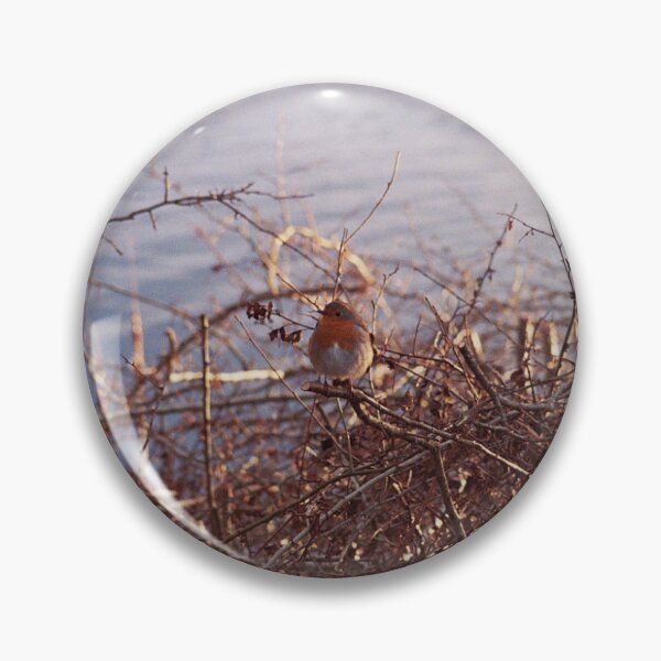 Item preview, Robin in His Lakehouse designed and sold by Phil Bothwell Photography.