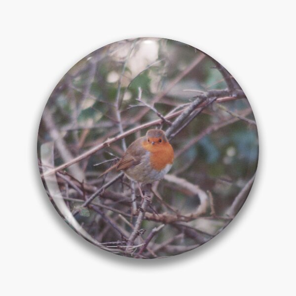Item preview, Robin en un seto designed and sold by Phil Bothwell Photography.