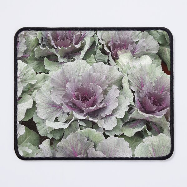 Item preview, Lettuce Flower designed and sold by EmmaLilStudio.