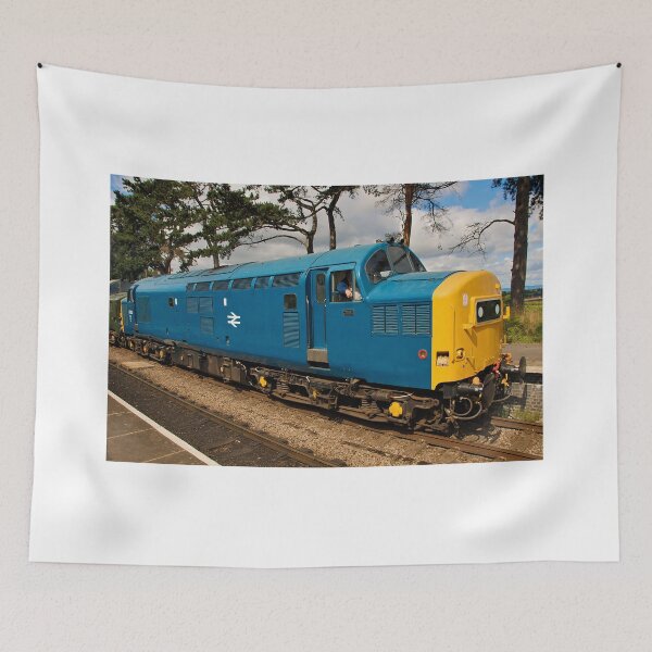Item preview, Class 37 Diesel no. 37215 at Cheltenham Racecourse designed and sold by RJKYTE1970.