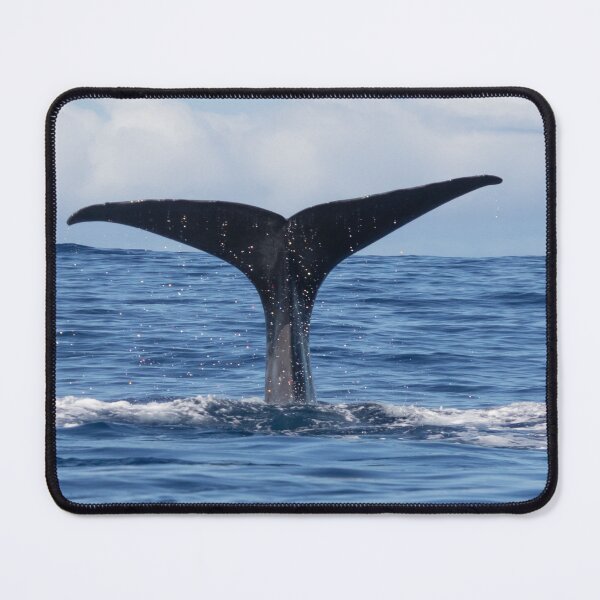 Item preview, whale fin protruding from the sea designed and sold by Katja LebenFreude.