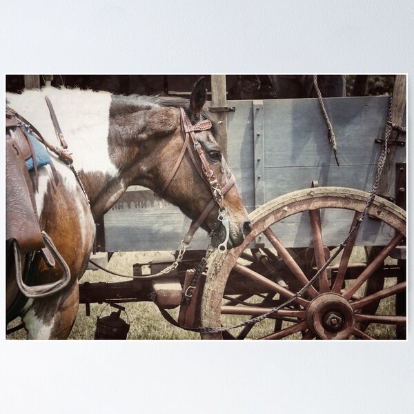 Aperçu de l'œuvre Cheval et roue créée et vendue par ArtbyDigman.