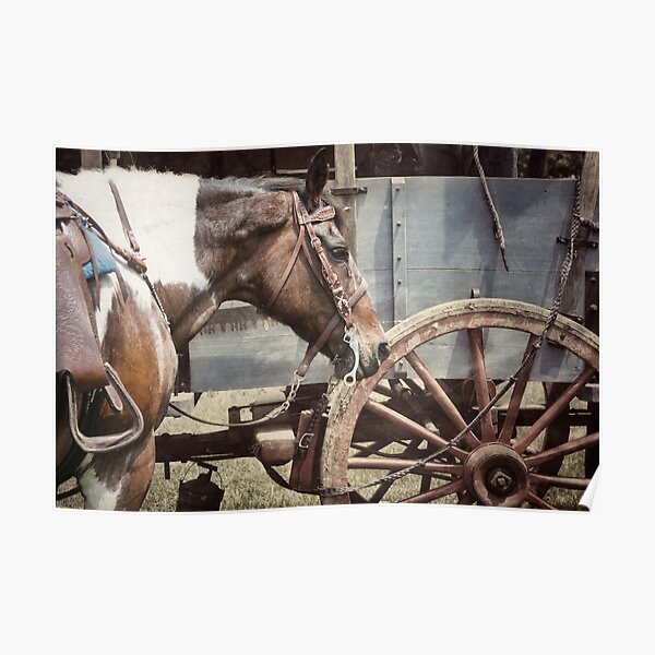 Horse and Wheel Poster