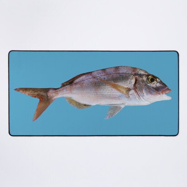 Item preview, Pagellus erythrinus, red bream, common bream designed and sold by mary02.