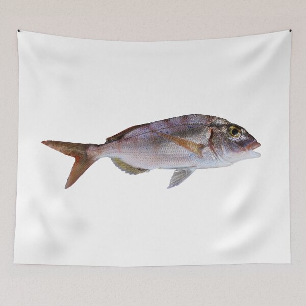Item preview, Pagellus erythrinus, red bream, common bream designed and sold by mary02.
