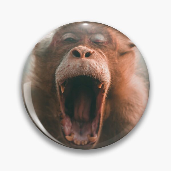 Item preview, Advanced primate life designed and sold by KAY Artists.