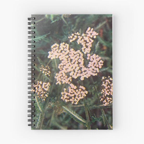 Item preview, Achillea style. designed and sold by Valgasnews011.