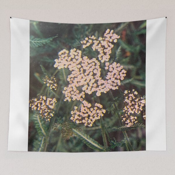 Item preview, Achillea style. designed and sold by Valgasnews011.