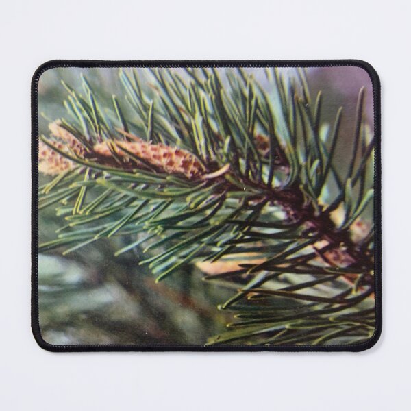Item preview, pinus style. designed and sold by Valgasnews011.
