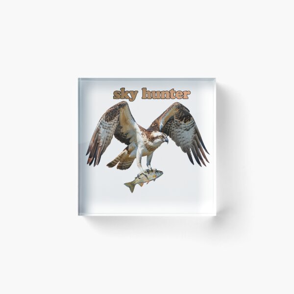 Item preview, Sky Hunter: Osprey Clutching Fish in Mid-Flight designed and sold by jeasolar.